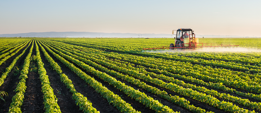 Organic Soybean Buyers | Clarkson Grain