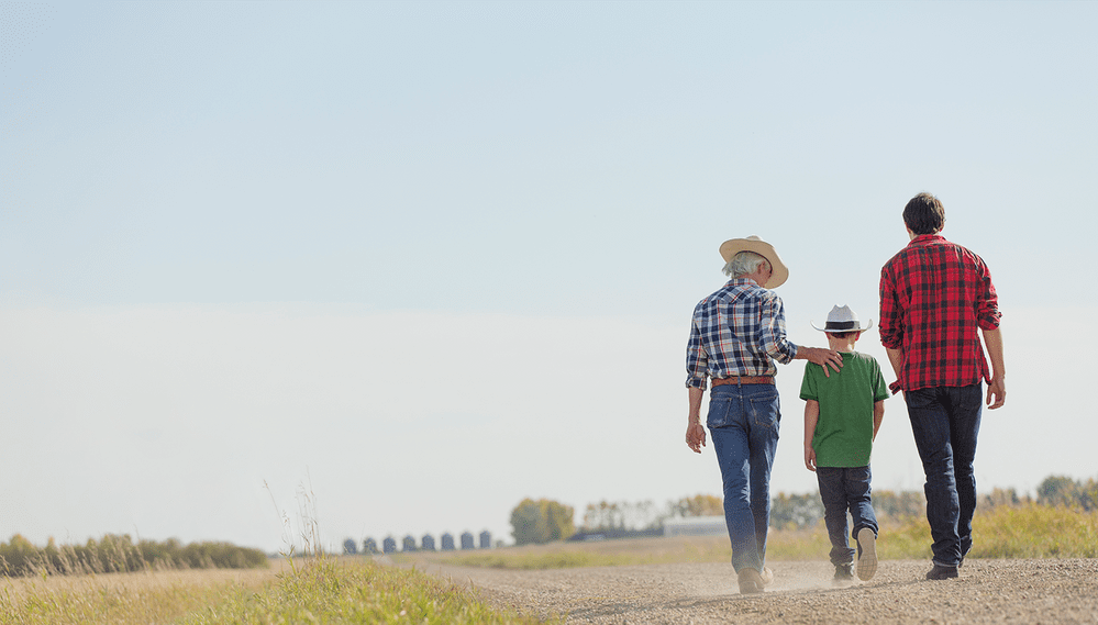 Clarkson Grain | Your Trusted Organic Grain Buyer